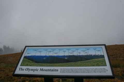 Our view of the Olympic peaks was a bust!